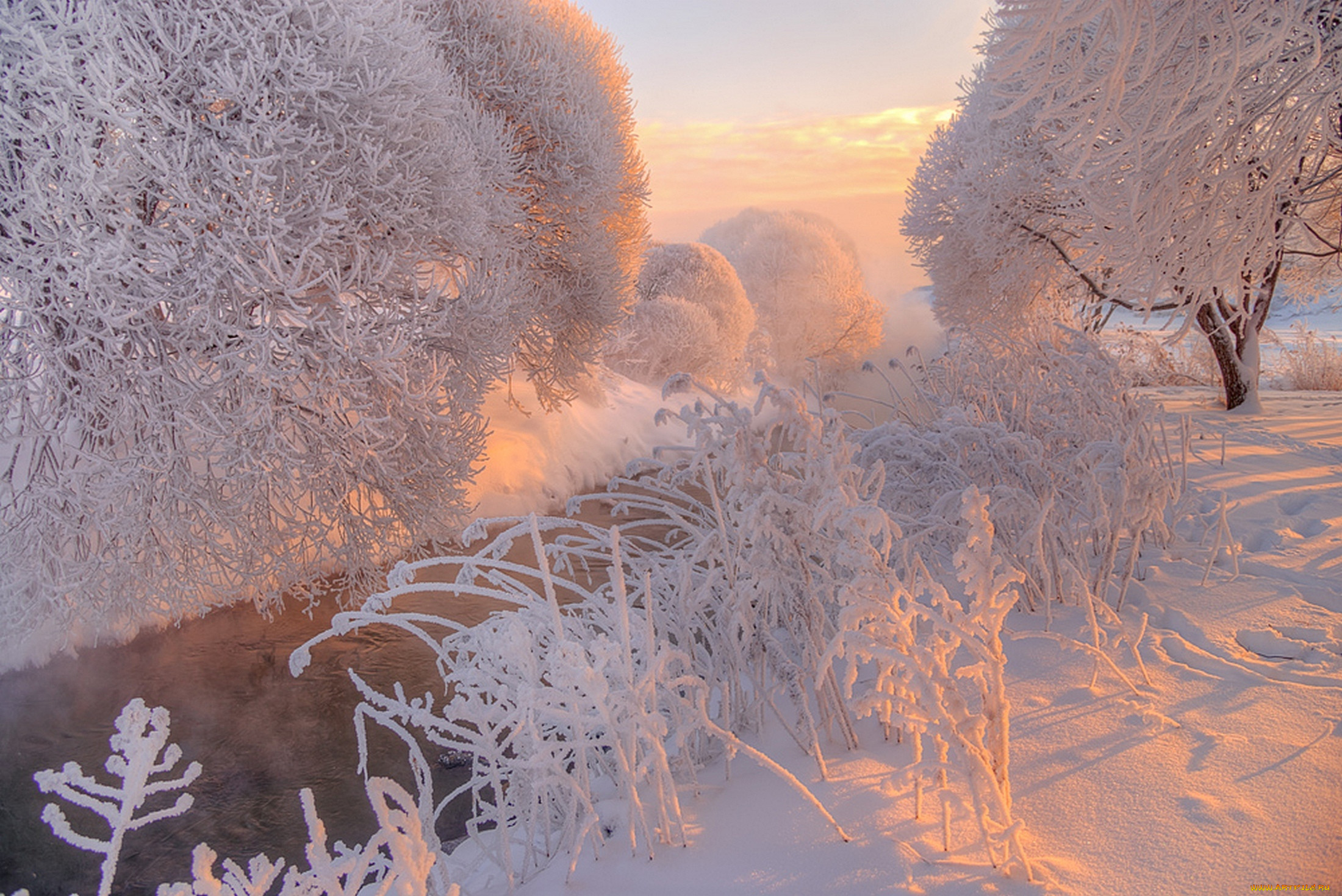 Зимнее утро. Морозное утро. Зимний рассвет. Морозный пейзаж. Морозная зима.